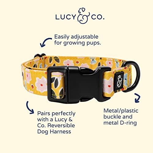 Lucy & Co. Nézzük Groove-Állítható Nyakörv - Aranyos Tervező Pet Gallér, a Kis, Közepes, Nagy Kutyák - Csat Bezárása