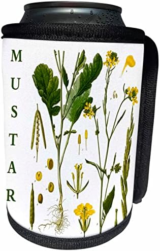 3dRose Fekete Mustár Konyha Művészet - Botanikus Virág Növény. - Lehet Hűvösebb Üveg Wrap (cc-365436-1)