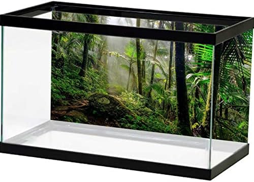 Akvárium Háttér, PVC Statikus Ragaszkodnak Terrárium Hátteret Kétéltű vízi Élet, a Trópusi Esőerdő Téma Háttérkép Tartós